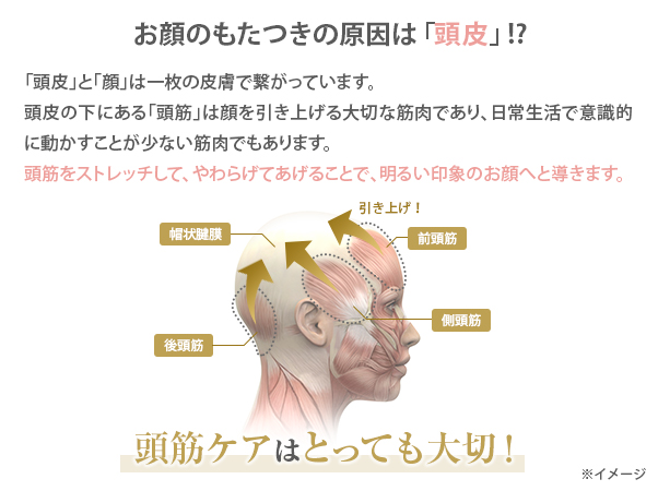 ヤーマンミーゼスカルプリフトの口コミ評判と効果は たるみ肩こり頭痛にも